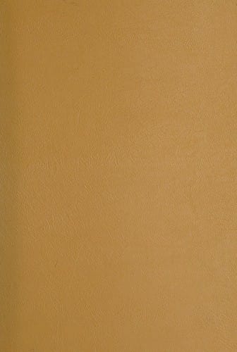 Die Grosse Heidelberger "Manessische" Liederhandschrift