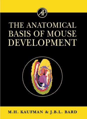 The anatomical basis of mouse development