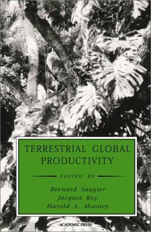Terrestrial global productivity