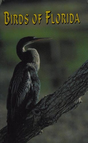 Birds of Florida