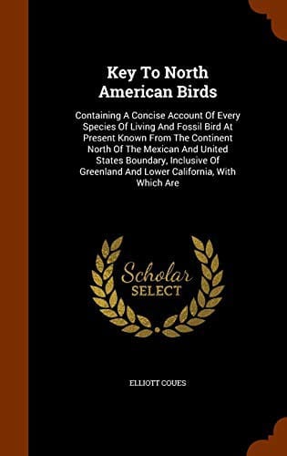 Key to North American birds