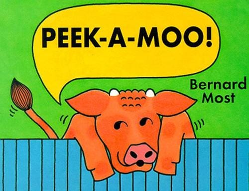 Peek-a-moo!