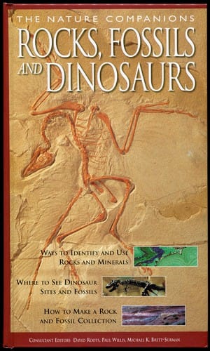 Rocks, Fossils and Dinosaurs