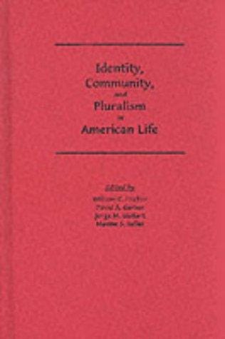 Identity, community, and pluralism in American life