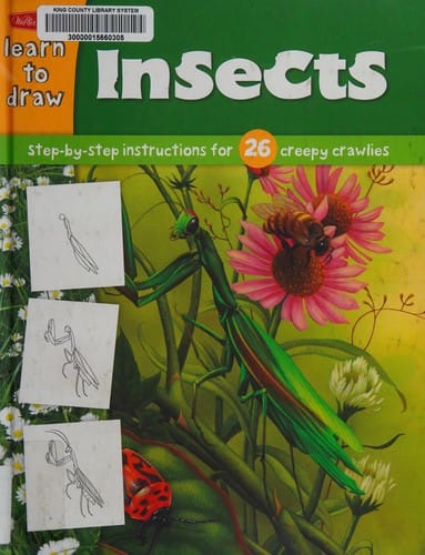 Learn to draw insects