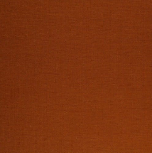 Der Kuckuck führt ein Lotterleben