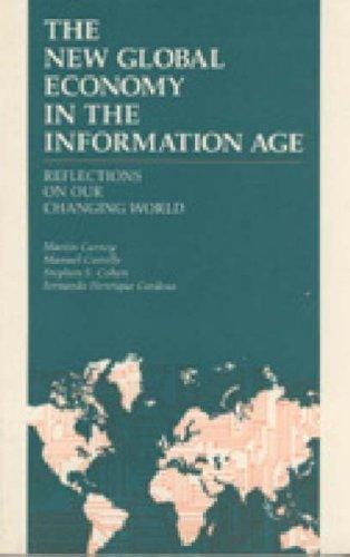 The New global economy in the information age