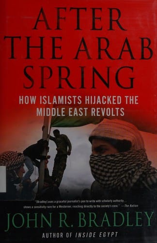 After the Arab spring