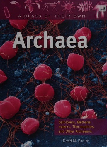 Archaea