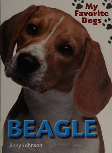 Beagle