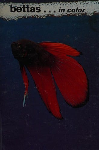 Bettas - in color