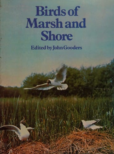 Birds of marsh and shore
