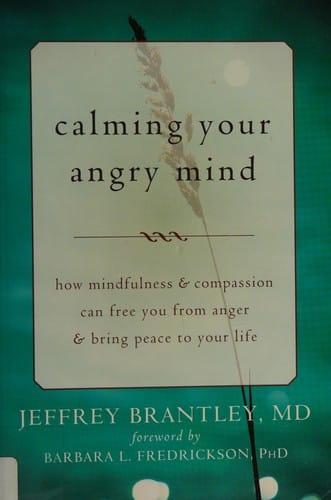 Calming your angry mind