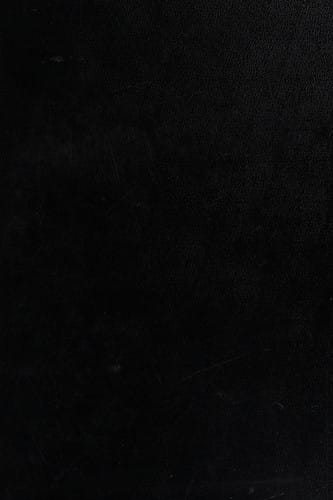 Economic development of ROC and the Pacific rim in the 1990s and beyond