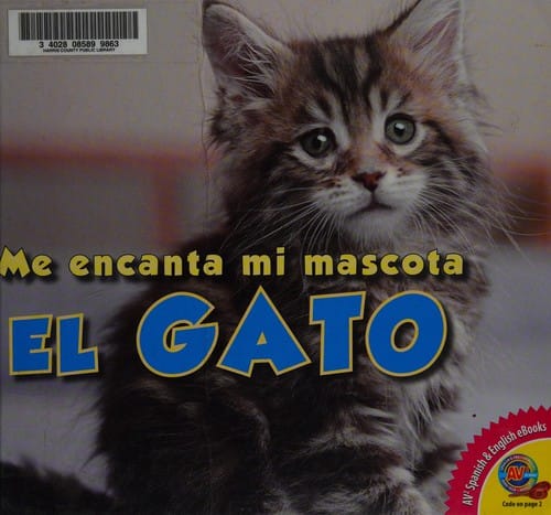 El gato