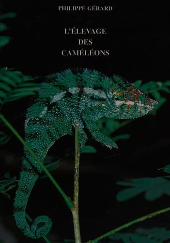 L'élevage des cameleons