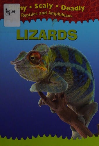 Lizards