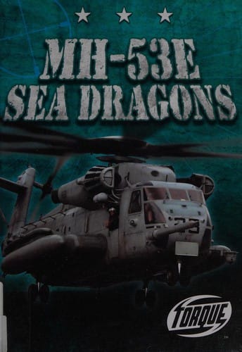 MH-53E Sea Dragons