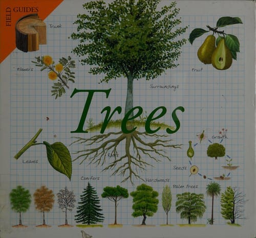 Trees