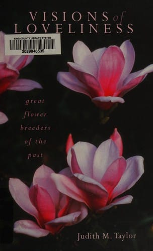 Visions of loveliness