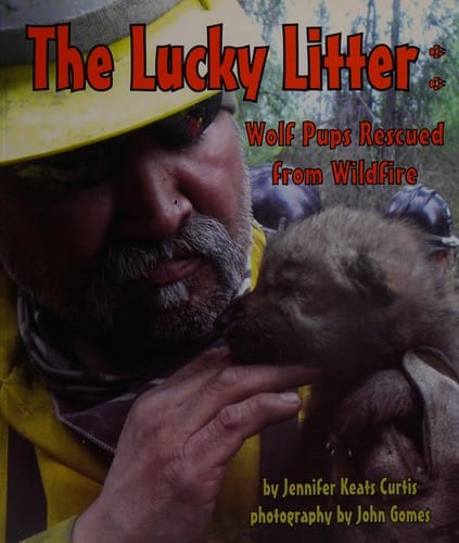 The lucky litter