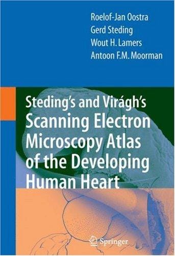 Steding's and VirÃ¡gh's Scanning Electron Microscopy Atlas of the Developing Human Heart