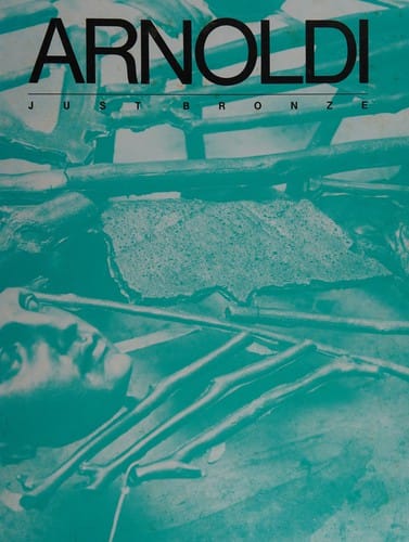 Arnoldi just bronze