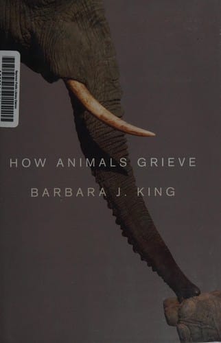 How animals grieve