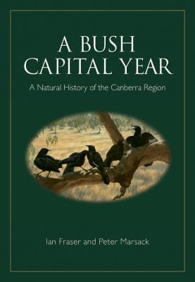 A bush capital year
