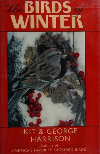 The birds of winter