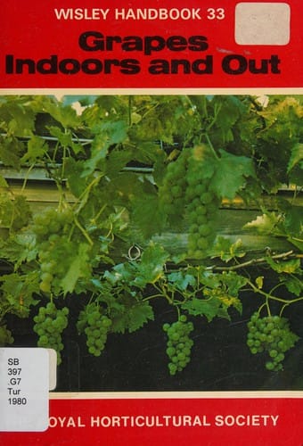 Grapes indoors and out