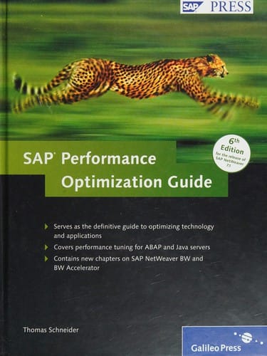 SAP performance optimization guide