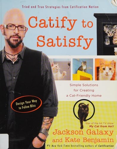 Catify to satisfy