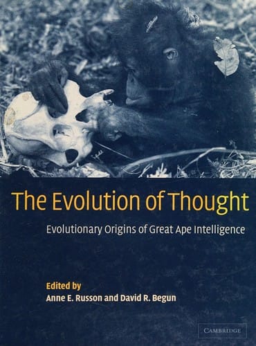 The evolution of thought