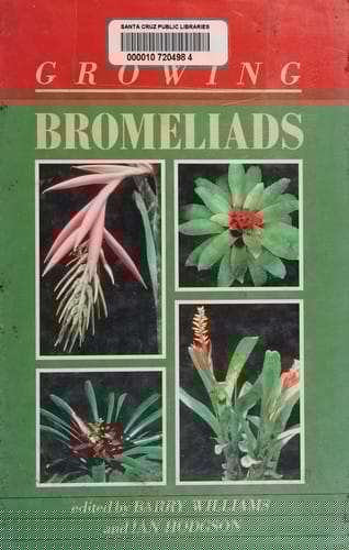 Growing bromeliads
