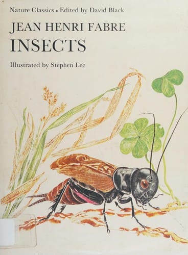 Insects