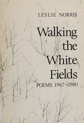 Walking the white fields