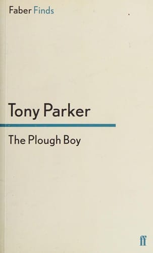 The plough boy