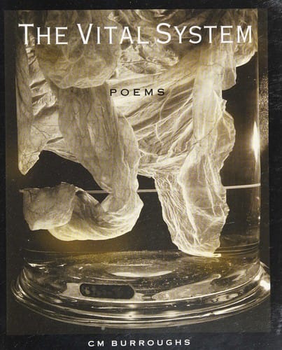 The vital system