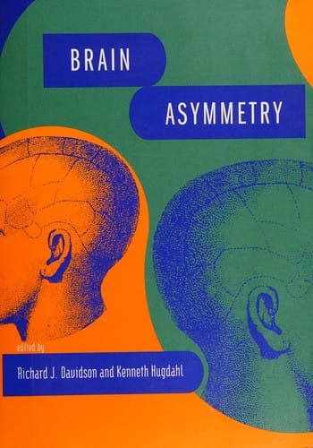 Brain asymmetry
