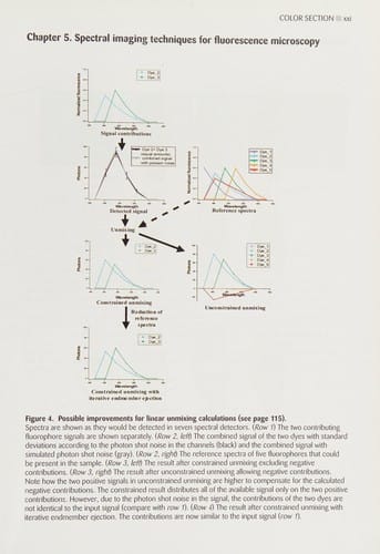 Cell imaging