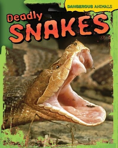 Deadly snakes