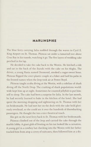 A boy's book of nervous breakdowns