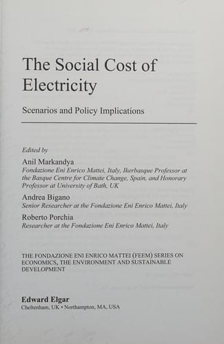 The social cost of electricity