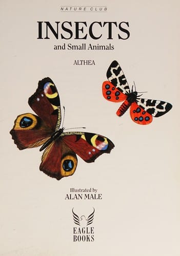 Insects and small animals