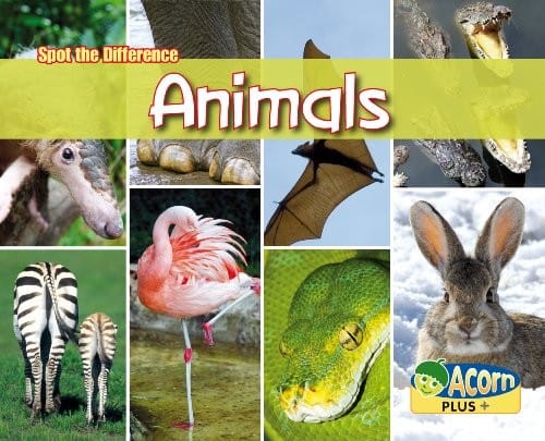 Can you spot the difference? animals