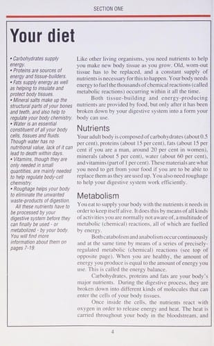 Your Diet (Your Health & How to Keep It)