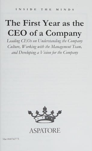 The first year as the CEO of a company