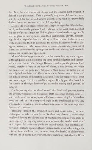 The philosopher's plant