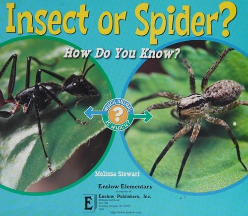 Insect or spider?